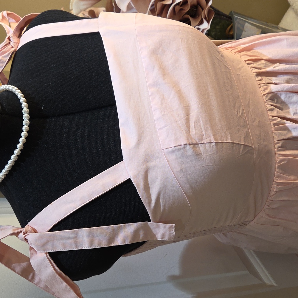 Nwt XL. Large. Medium Joie Light Pink Floral Maxi Dress  And Zipper In The Back - Picture 15 of 17
